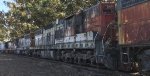 Southern Pacific 4451 at Schellville, California on June 11th, 2020